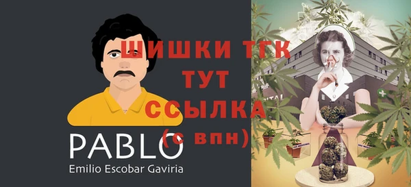 Альфа ПВП Горно-Алтайск