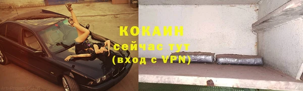 соль ск Горняк