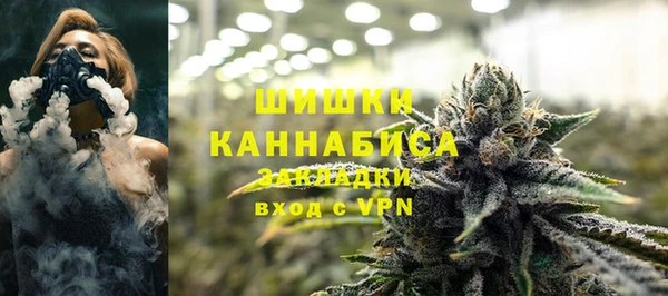 Альфа ПВП Горно-Алтайск