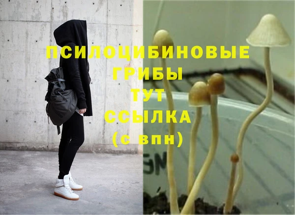 таблы Горнозаводск