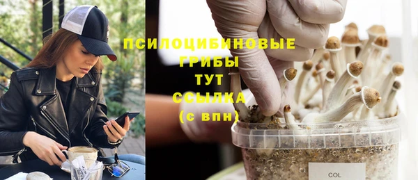 таблы Горнозаводск